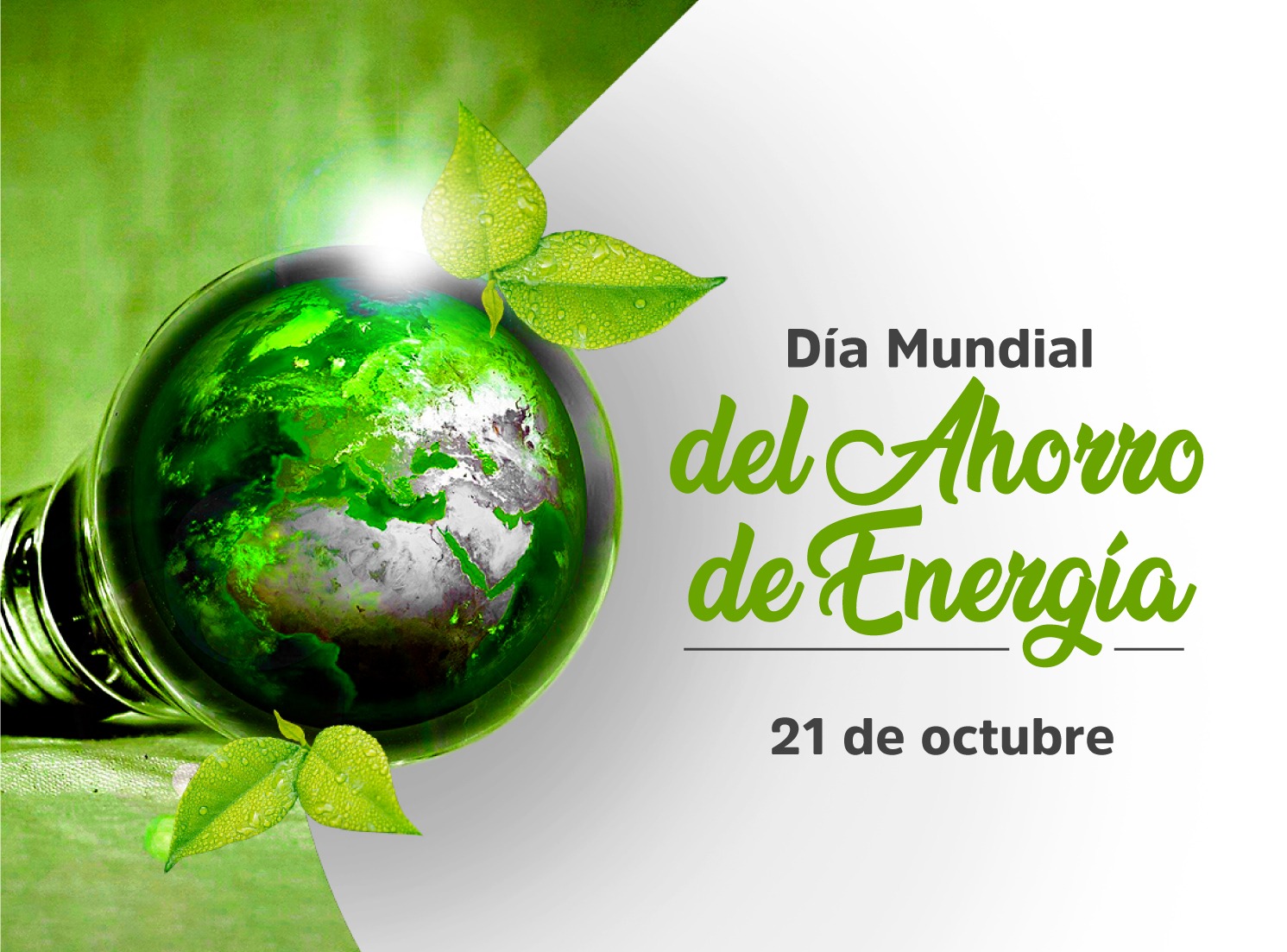 Día Mundial del Ahorro de Energía - UAO Portal